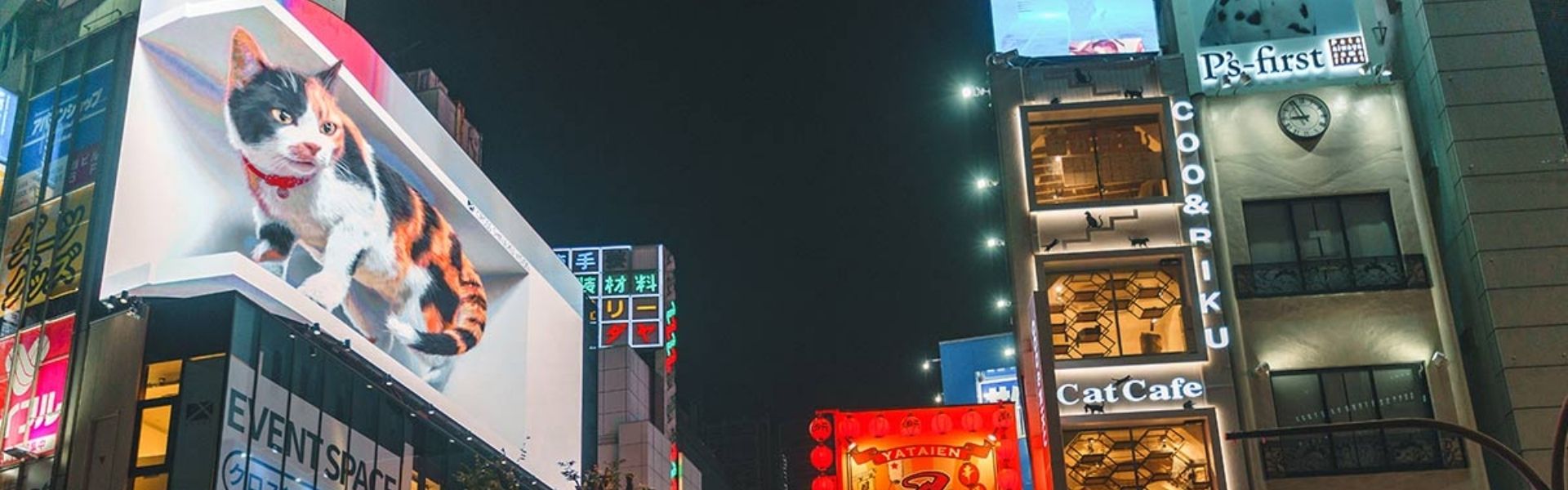 banner1